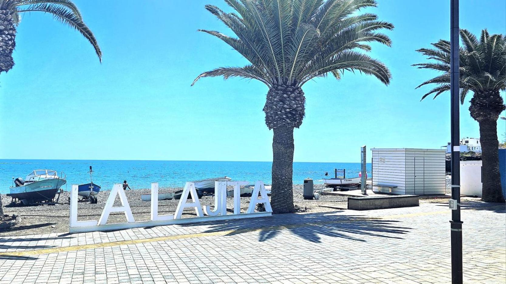 Apartment Albacora *
